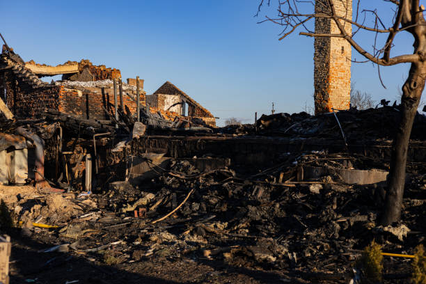 Reliable Content Restoration contractor in Green Isle, MN by Meridian Smoke Damage